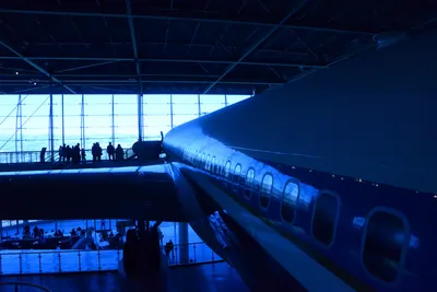 DSC_1147 (Large).JPG